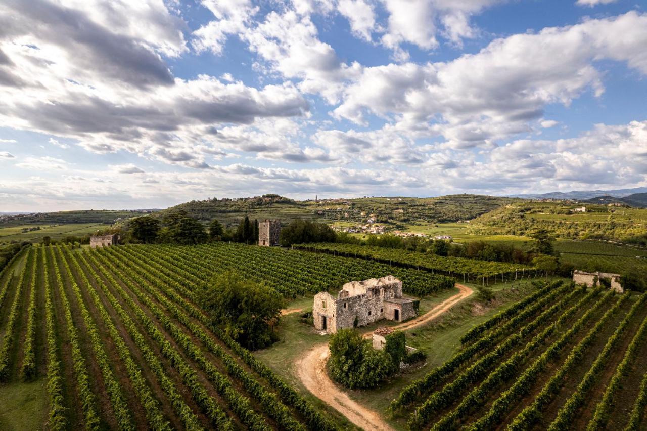 Agriturismo Monte Bisson ソアーヴェ エクステリア 写真