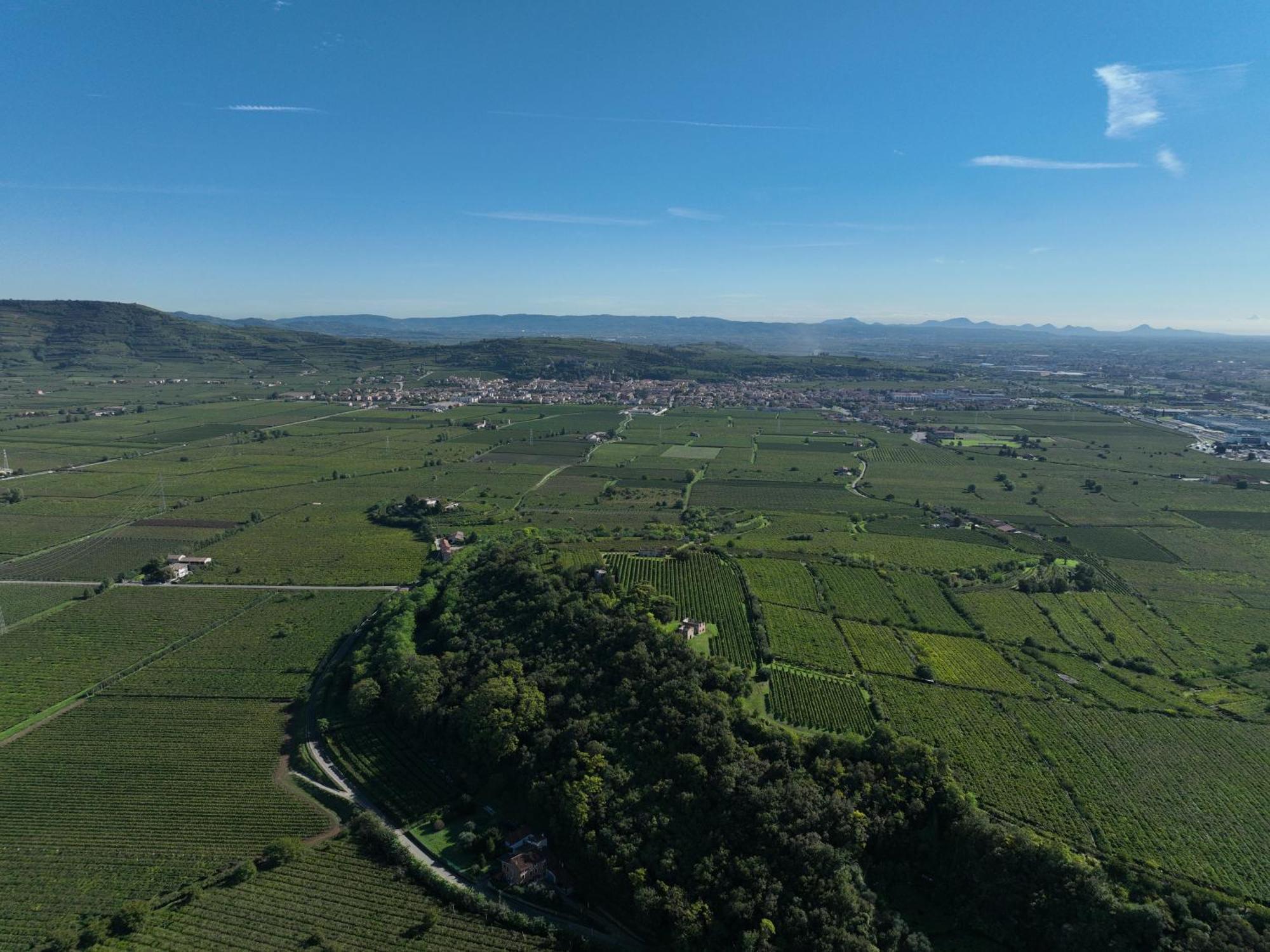 Agriturismo Monte Bisson ソアーヴェ エクステリア 写真